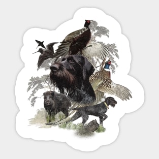 German Wirehaired Pointer, hunting season Sticker